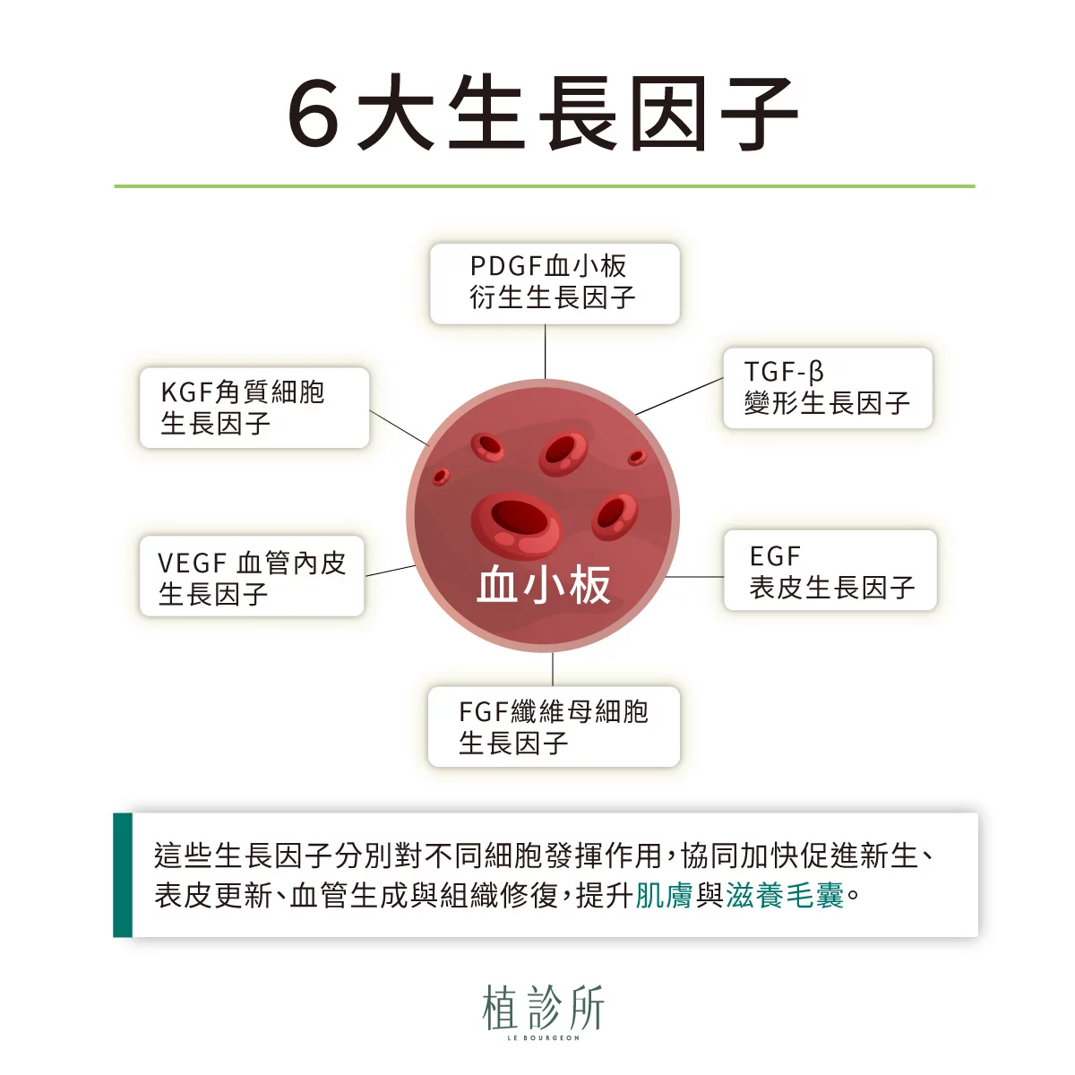 PLT凍晶 6大生長因子